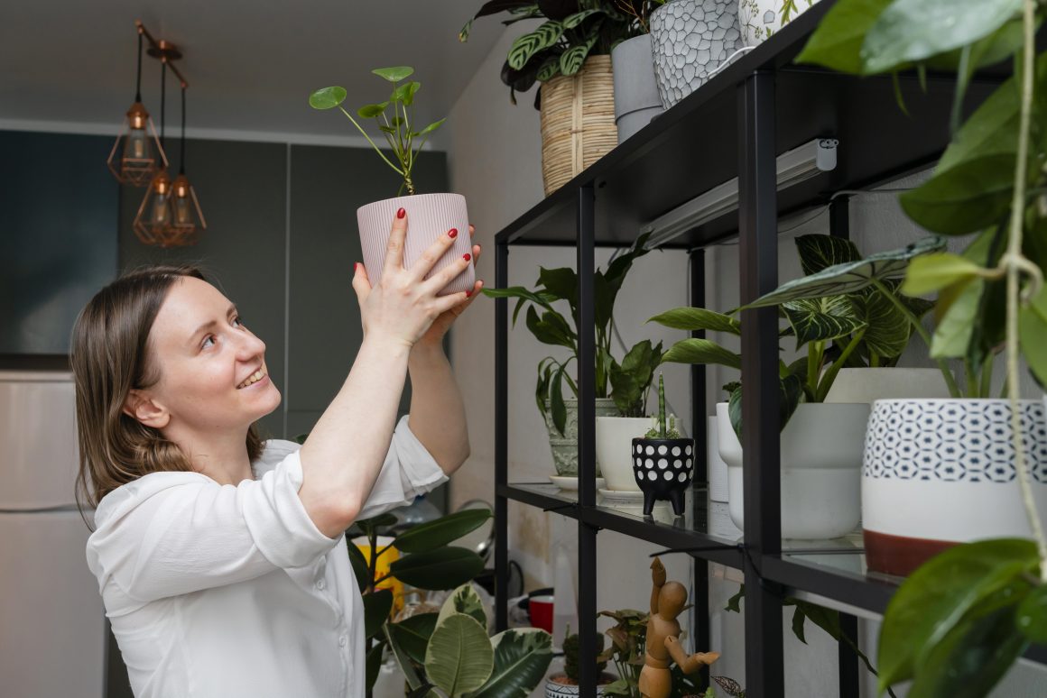 Diseño biofílico: uso de plantas en interiores y jardines