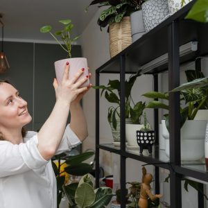 Diseño biofílico: uso de plantas en interiores y jardines
