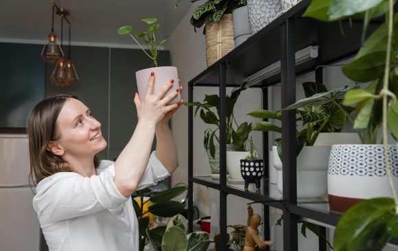 Diseño biofílico: uso de plantas en interiores y jardines