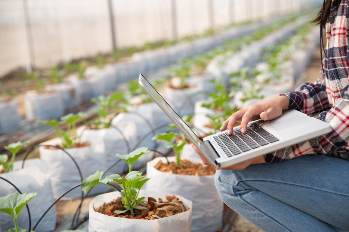 Sistemas electrónicos aplicados a la agroindustria y acuicultura
