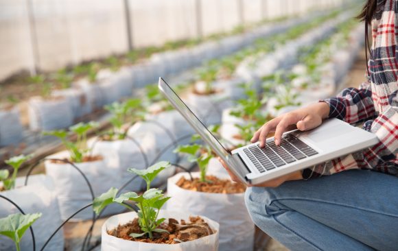Sistemas electrónicos aplicados a la agroindustria y acuicultura
