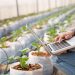 Sistemas electrónicos aplicados a la agroindustria y acuicultura